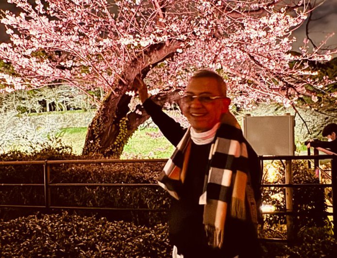 Cherry Blossom Illumination