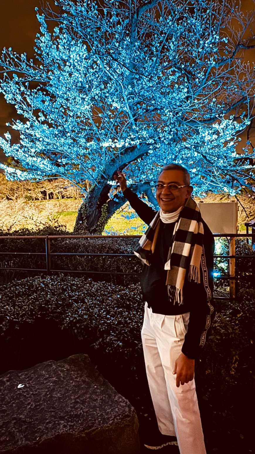 Cherry Blossom Illumination