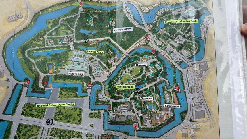 Tokyo: March 30th – A Magical Evening Under the Blossoms and Above the Skyline