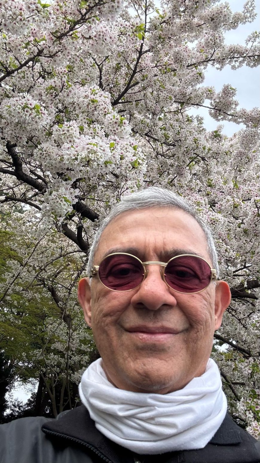 Tokyo: March 30th – A Magical Evening Under the Blossoms and Above the Skyline