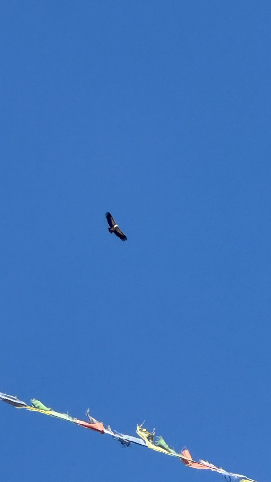 Day 3 — Ngawal Ridge Traverse & the Ghyaru Balcony