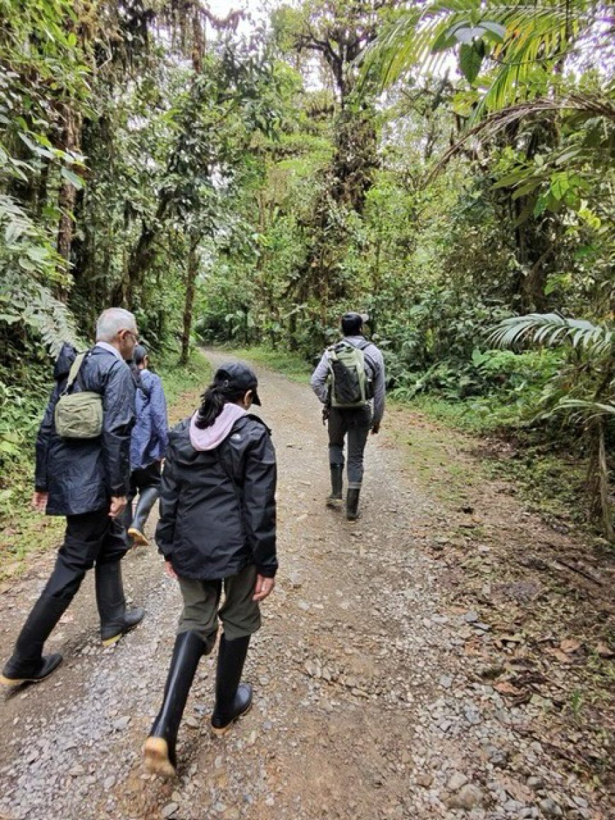 Mashpi Cloud Forest — Two Days of Nature, Adventure, and Gratitude